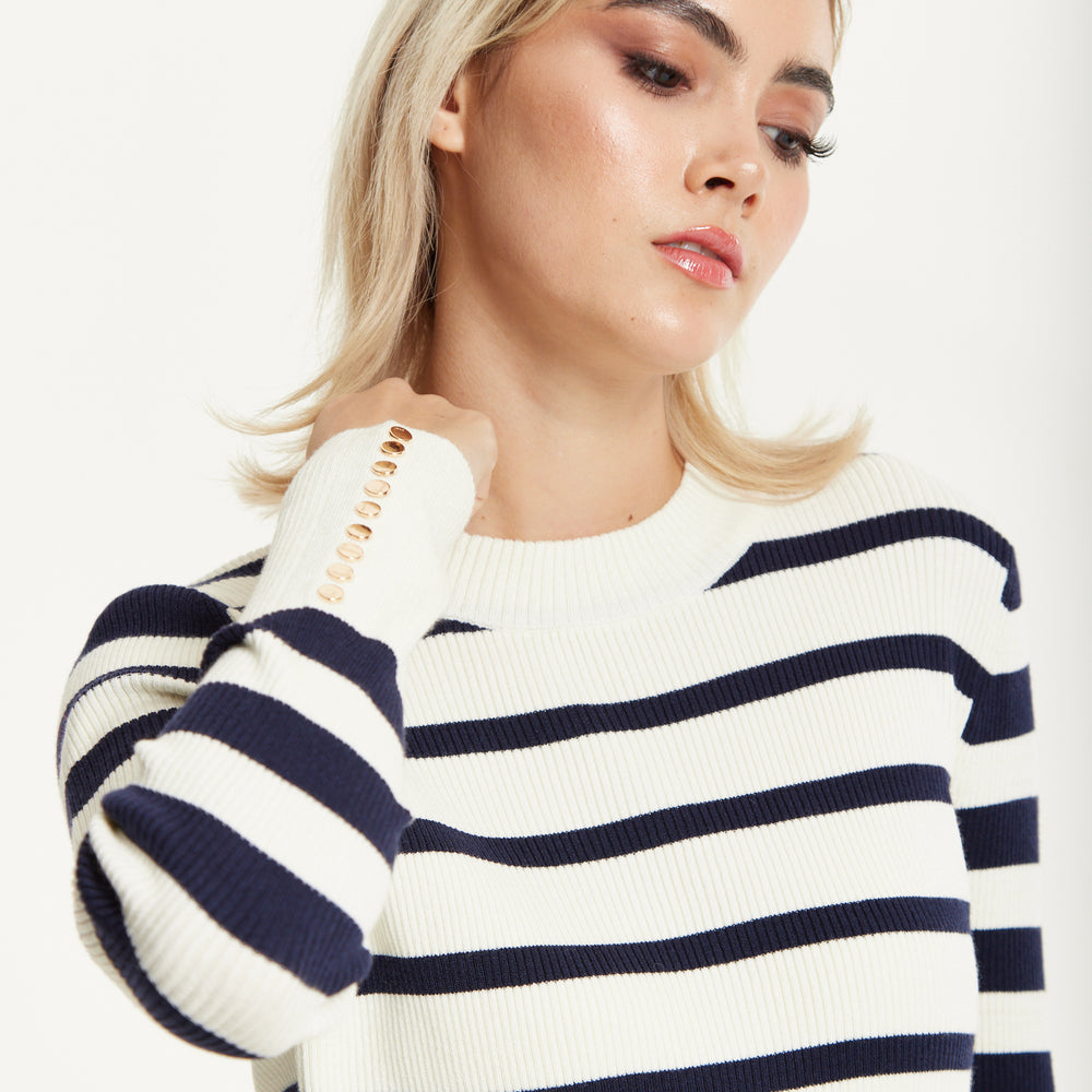 
                  
                    Navy White Stripe Jumper
                  
                