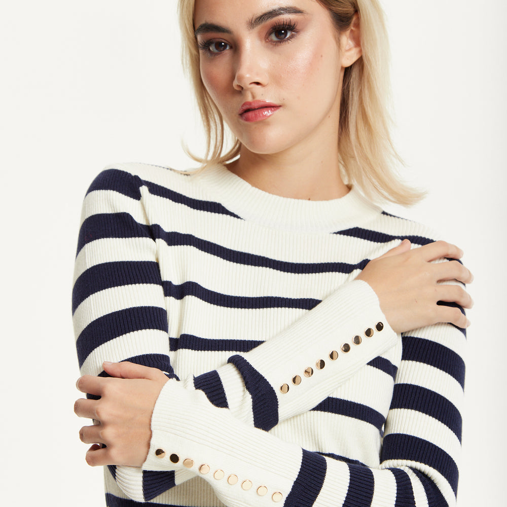 
                  
                    Navy White Stripe Jumper
                  
                