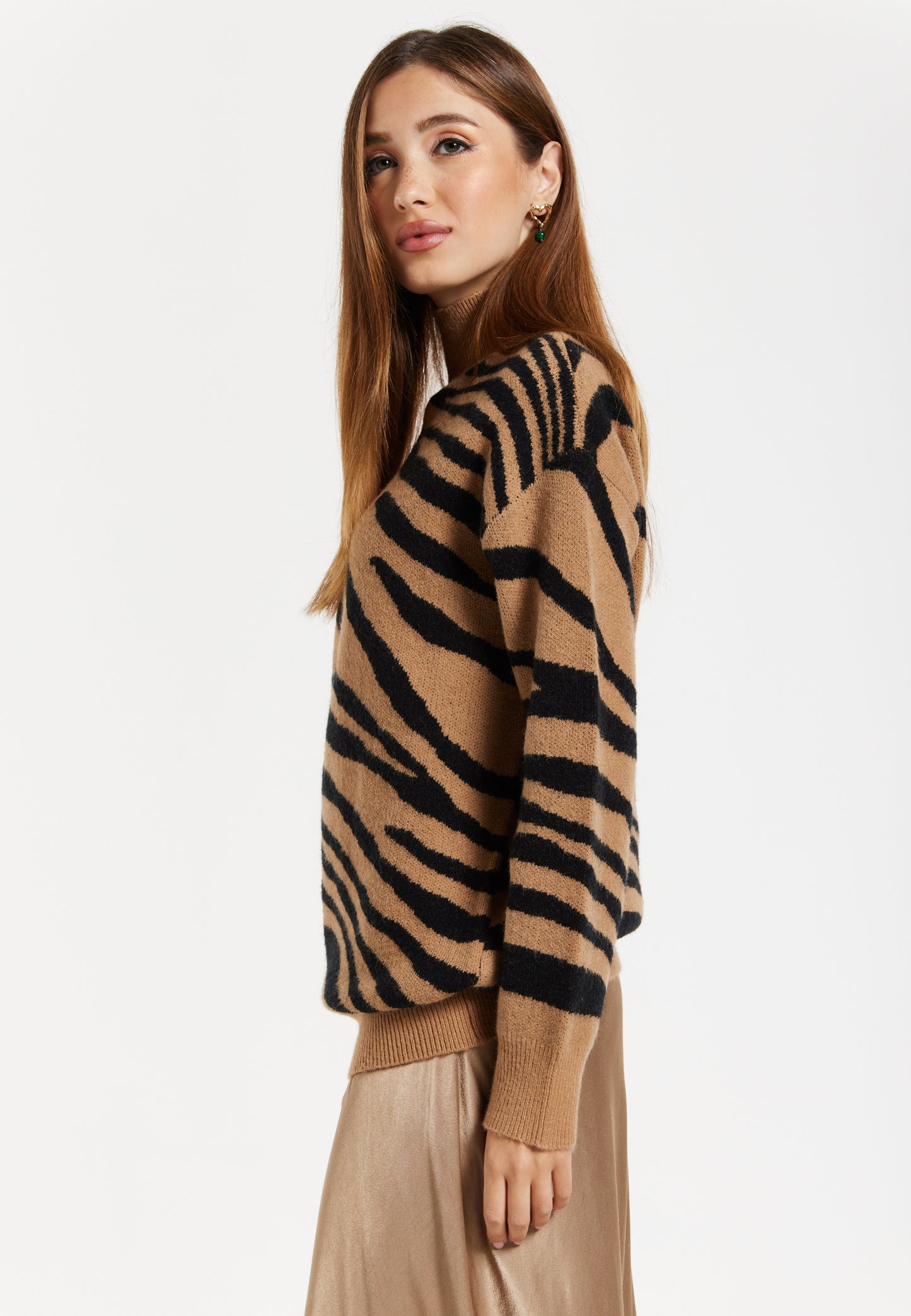 
                  
                    Women's Brown and Black Zebra Pattern High Neck Jumper with Long Sleeves and Relaxed Fit
                  
                