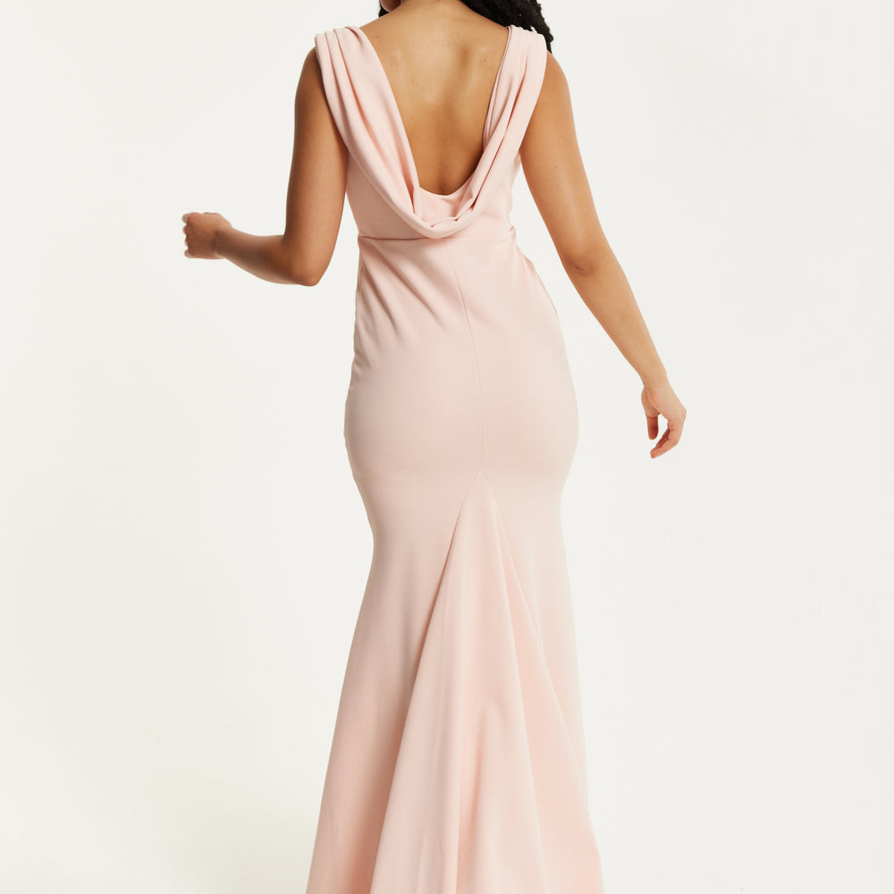 
                  
                    Blush Pink Draped Back Maxi Dress
                  
                