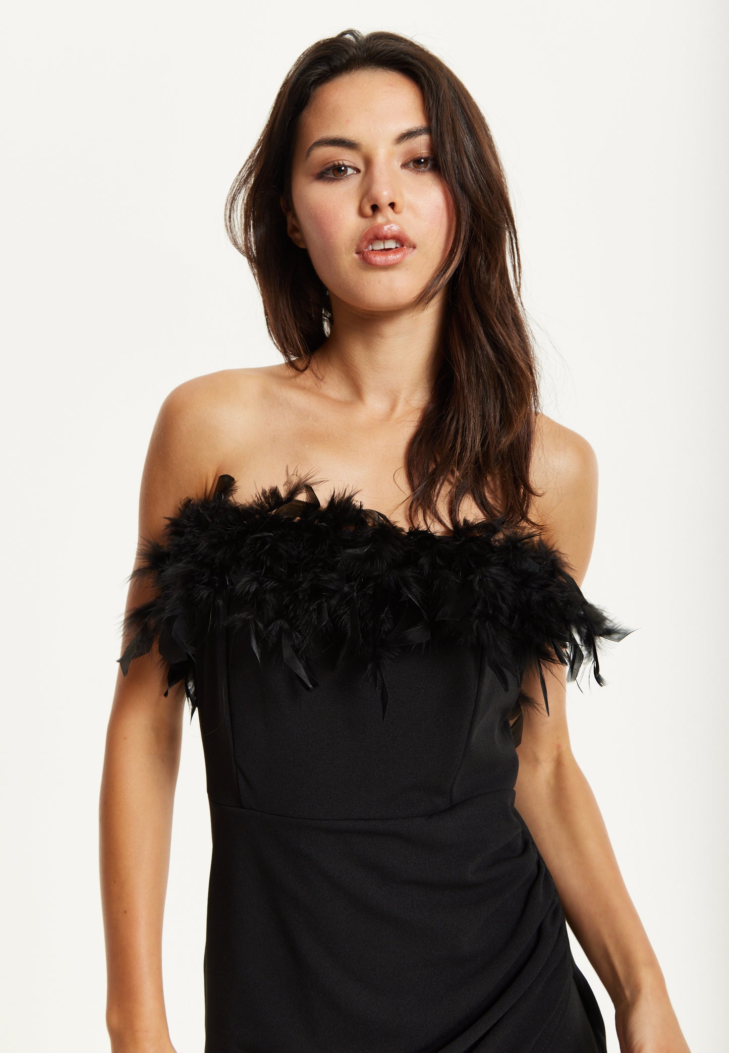 
                  
                    Black Feather Trim Strapless Dress
                  
                