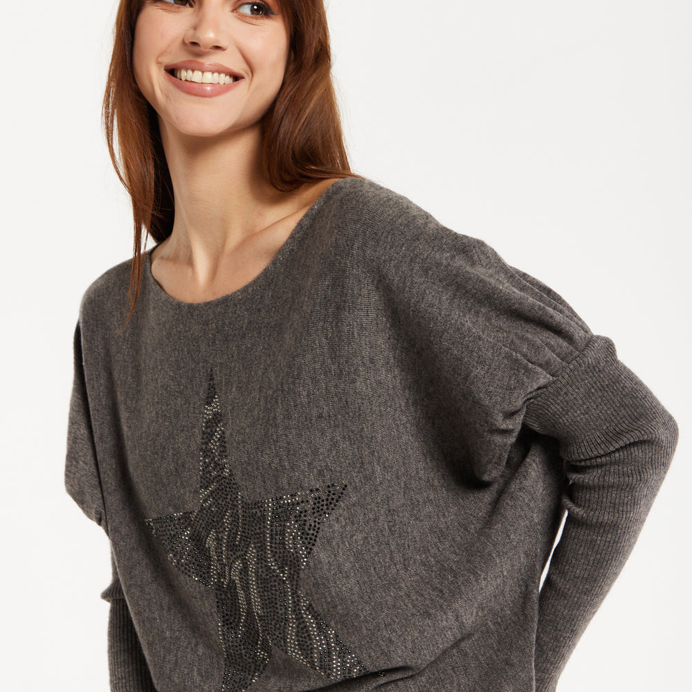 
                  
                    Women's Dark Grey Jumper with Fitted Long Sleeves and Sparkly Zebra Star Detail by Liquorish
                  
                