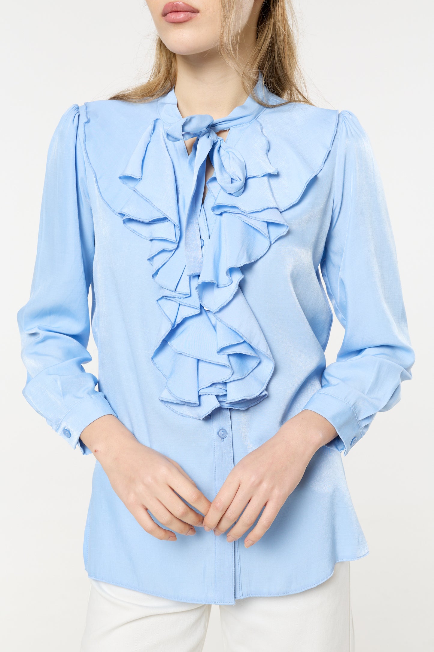 
                  
                    Blue Ruffle Tie-Neck Blouse
                  
                