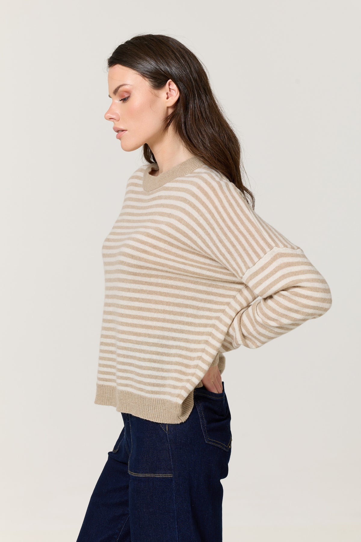 
                  
                    Beige Stripe Wool Cashmere Blend Jumper
                  
                