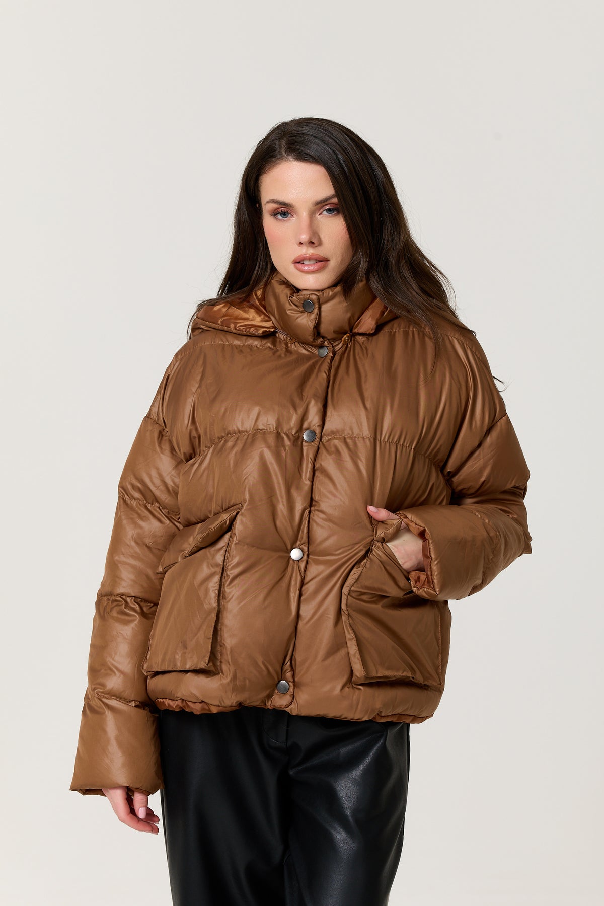 
                  
                    Brown Hooded Puffer Jacket
                  
                