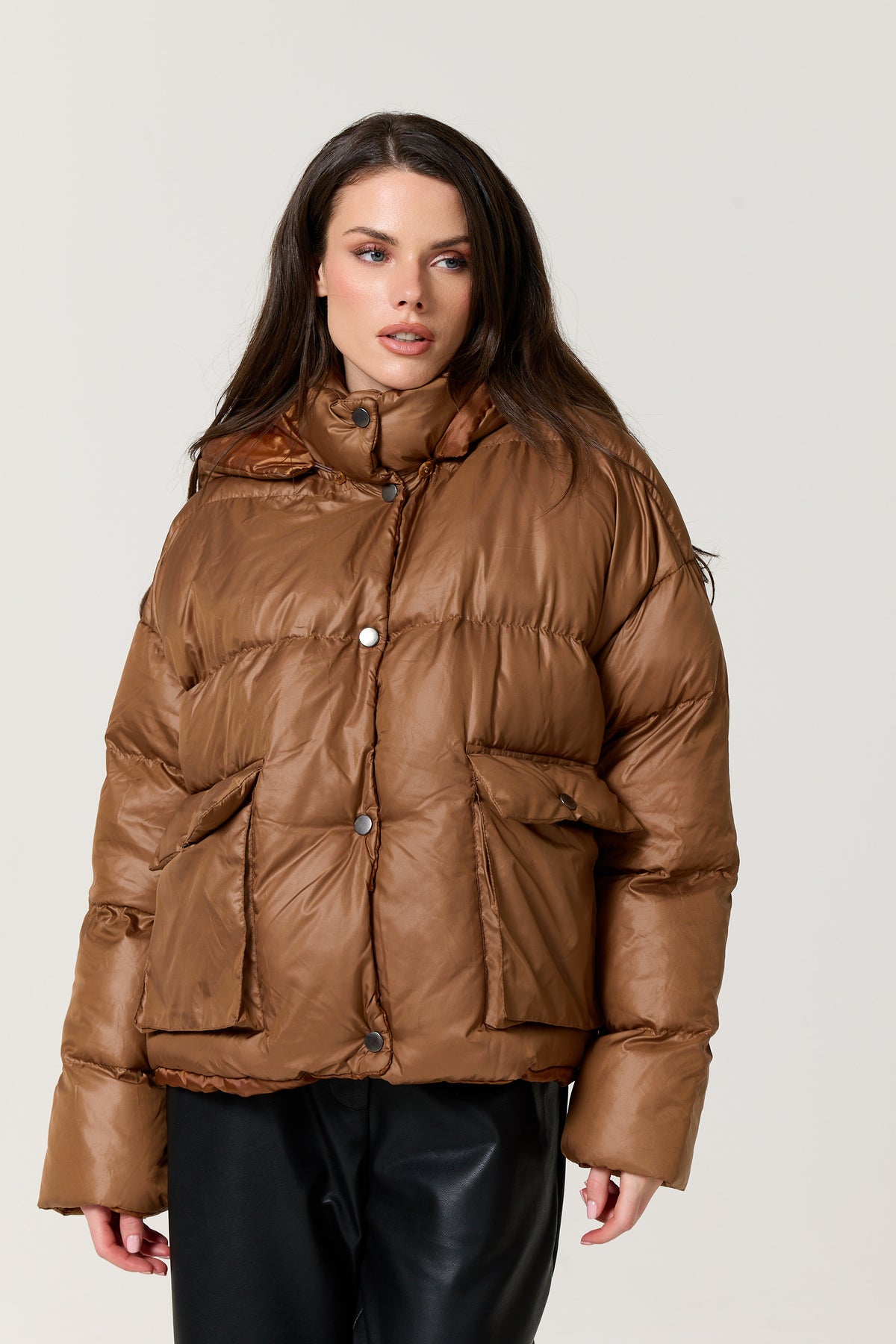 
                  
                    Brown Hooded Puffer Jacket
                  
                
