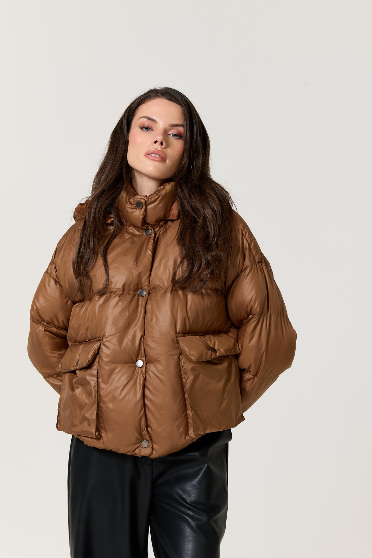 
                  
                    Brown Hooded Puffer Jacket
                  
                