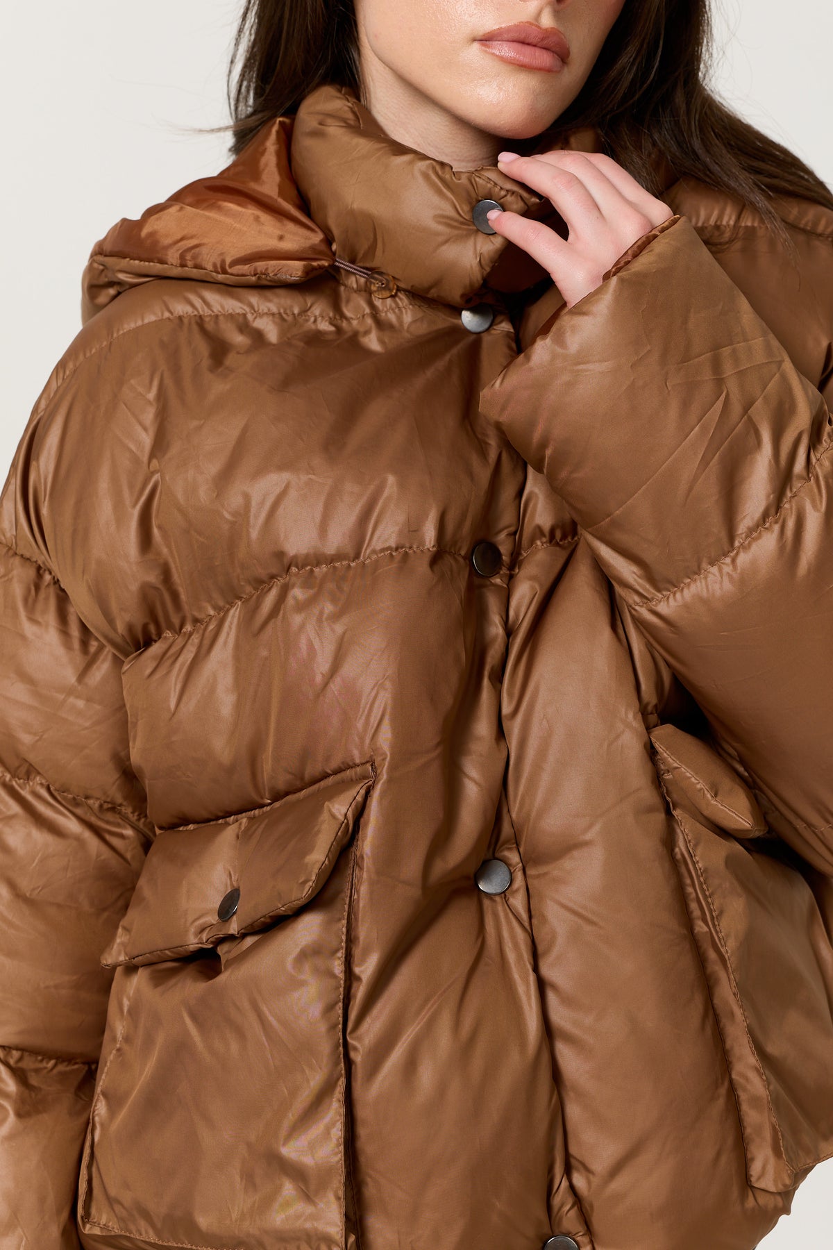 
                  
                    Brown Hooded Puffer Jacket
                  
                