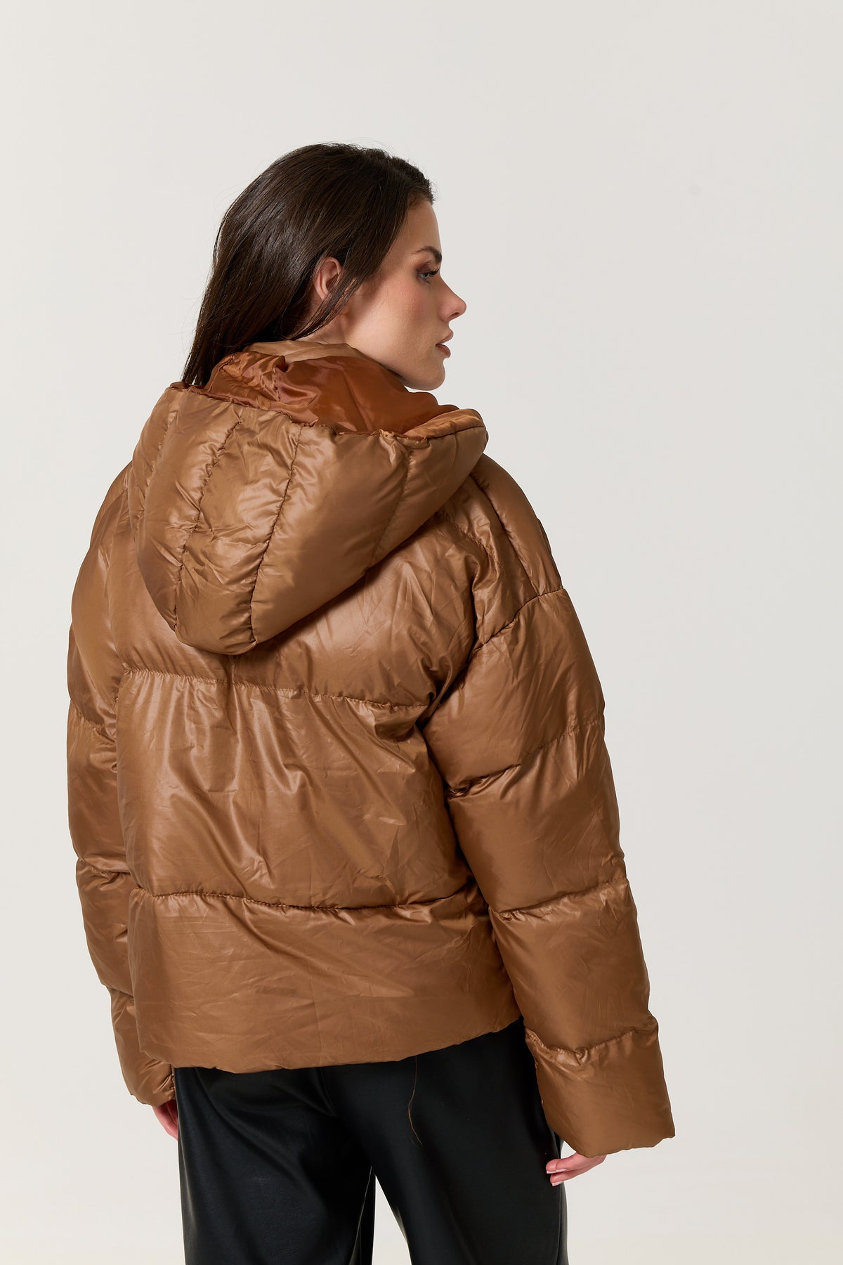 
                  
                    Brown Hooded Puffer Jacket
                  
                