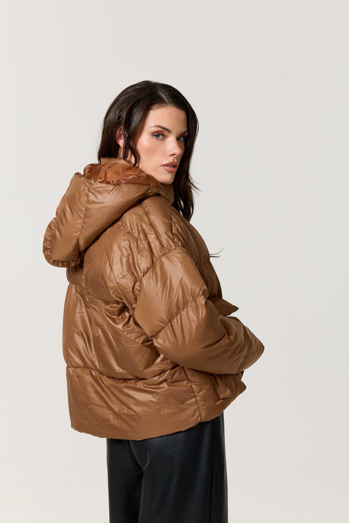 
                  
                    Brown Hooded Puffer Jacket
                  
                
