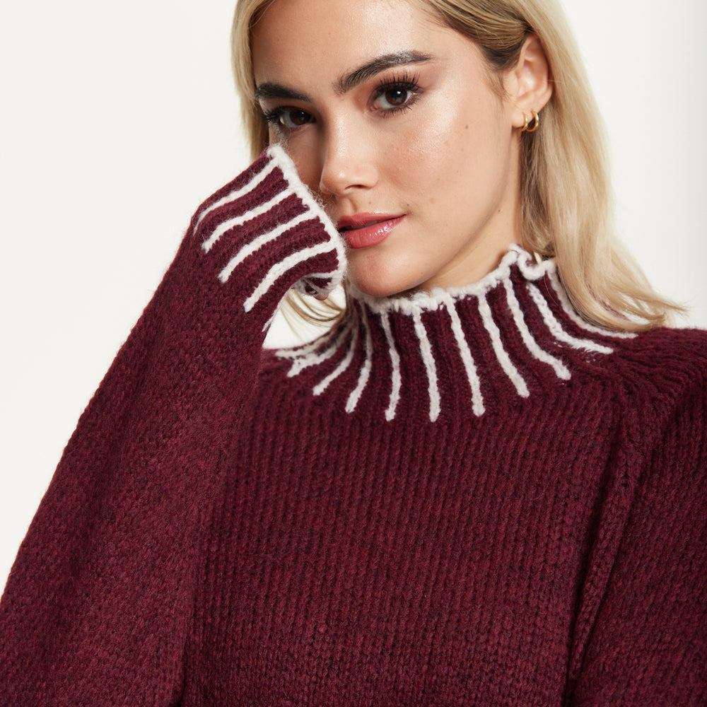 
                  
                    Contrast Rib Wool Blend Jumper Burgundy
                  
                