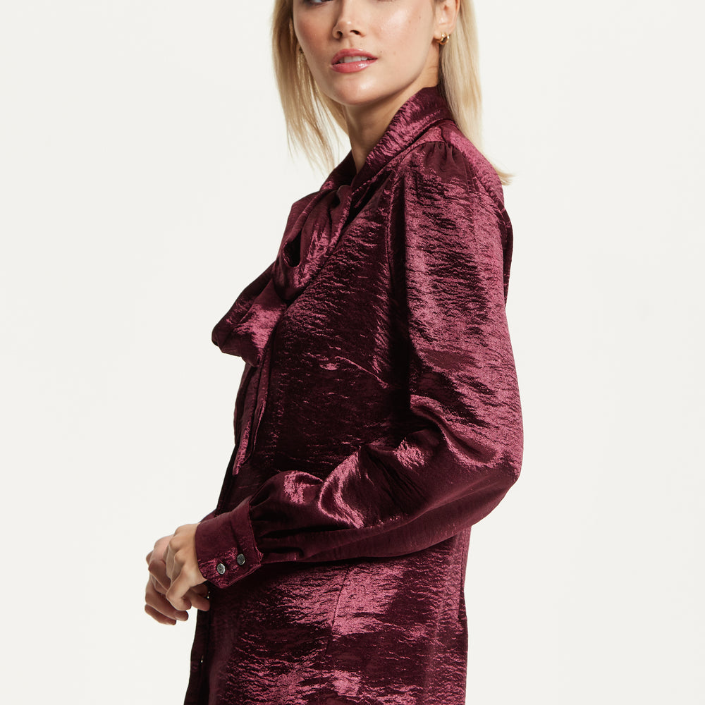 
                  
                    Burgundy Satin Tie Neck Blouse
                  
                