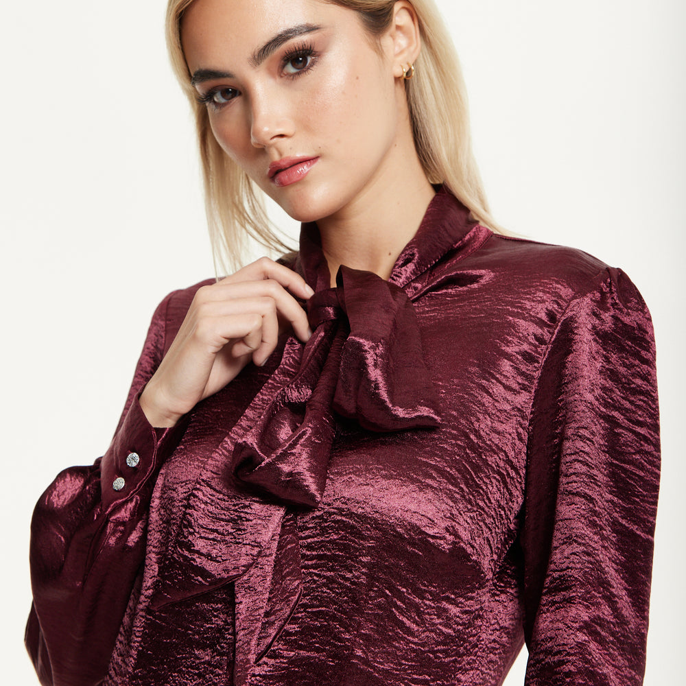 
                  
                    Burgundy Satin Tie Neck Blouse
                  
                