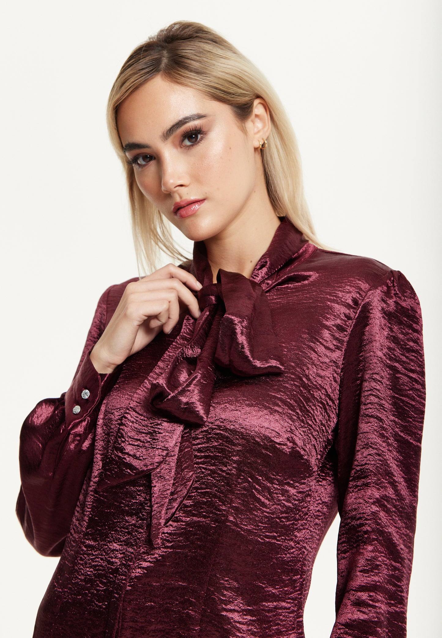 
                  
                    Burgundy Satin Tie Neck Blouse
                  
                