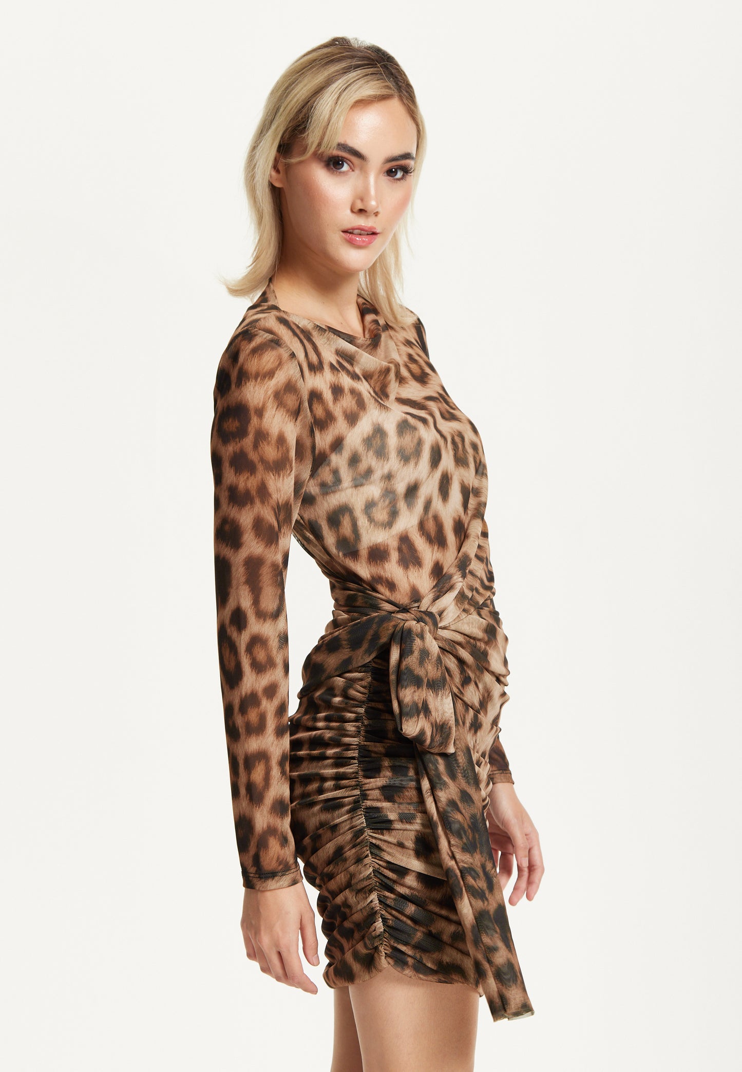 
                  
                    Leopard Print Ruched Mini Dress
                  
                