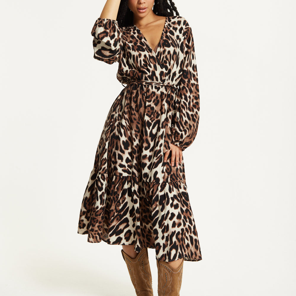 
                  
                    Leopard Print Long Sleeve Midi Dress
                  
                