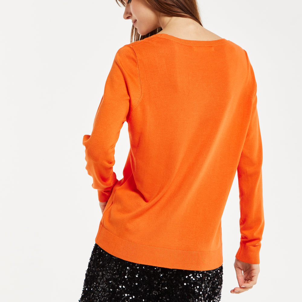 
                  
                    Liquorish Classic Round Neck Orange Pullover
                  
                