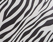 Liquorish Zebra Print Cami Dress in Black and White