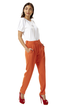 Divine Grace Straight Leg Chino Trousers in Tuscany