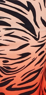 Liquorish Zebra Print Shirt With Accentuated Collar Detail In Orange And Nude