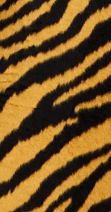 Liquorish Zebra Print Longline Coat In Mustard And Black